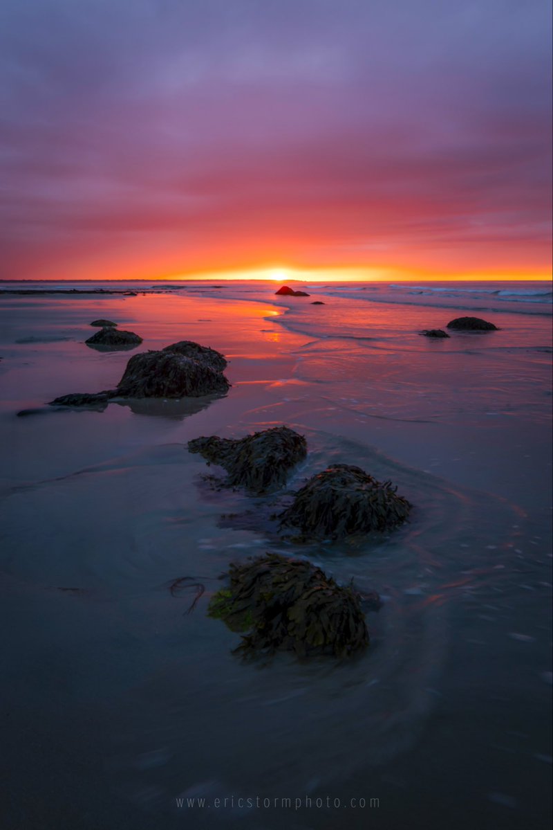 EricStormPhoto tweet media