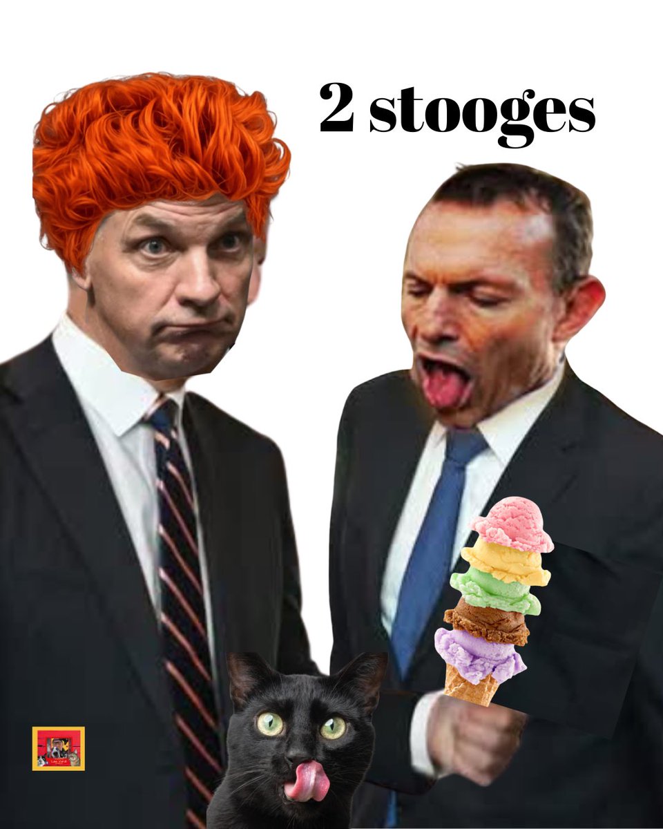 leevardi's tweet photo. @AngusTaylorMP https://t.co/4suYOHnSb0