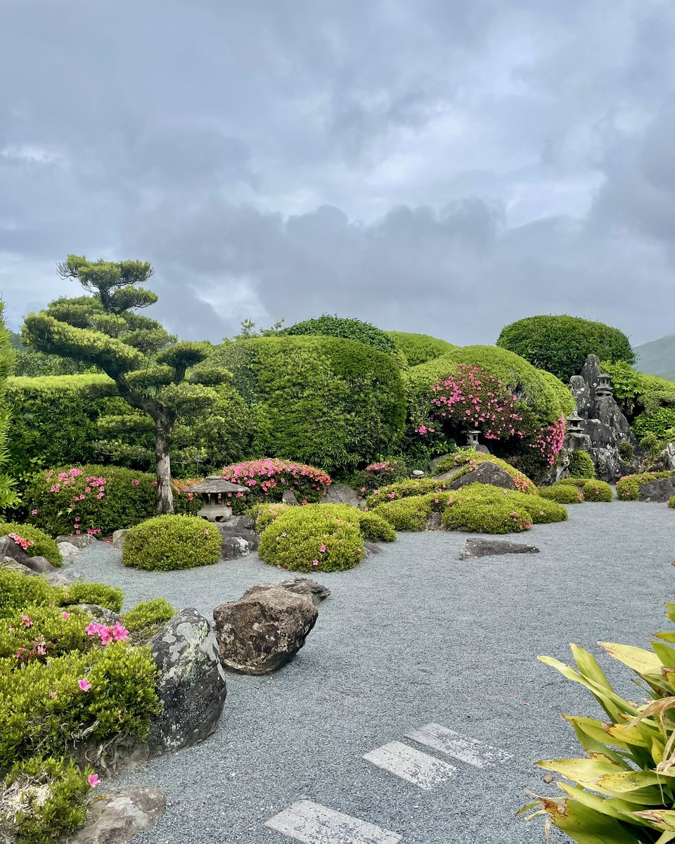 Mailo_Maiko's tweet photo. 楽しみの舞♪ https://t.co/XcP4eLSFQh