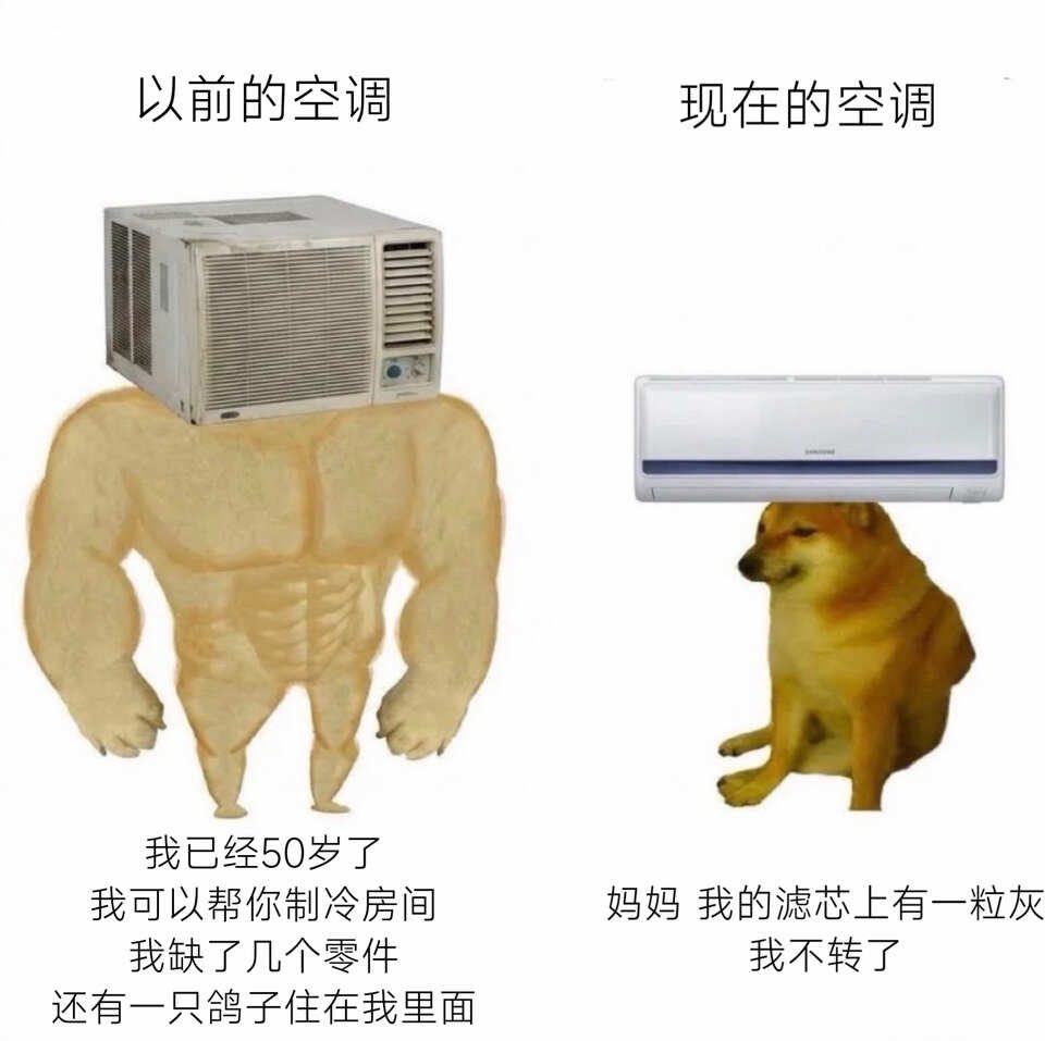 流汗黄豆 tweet media