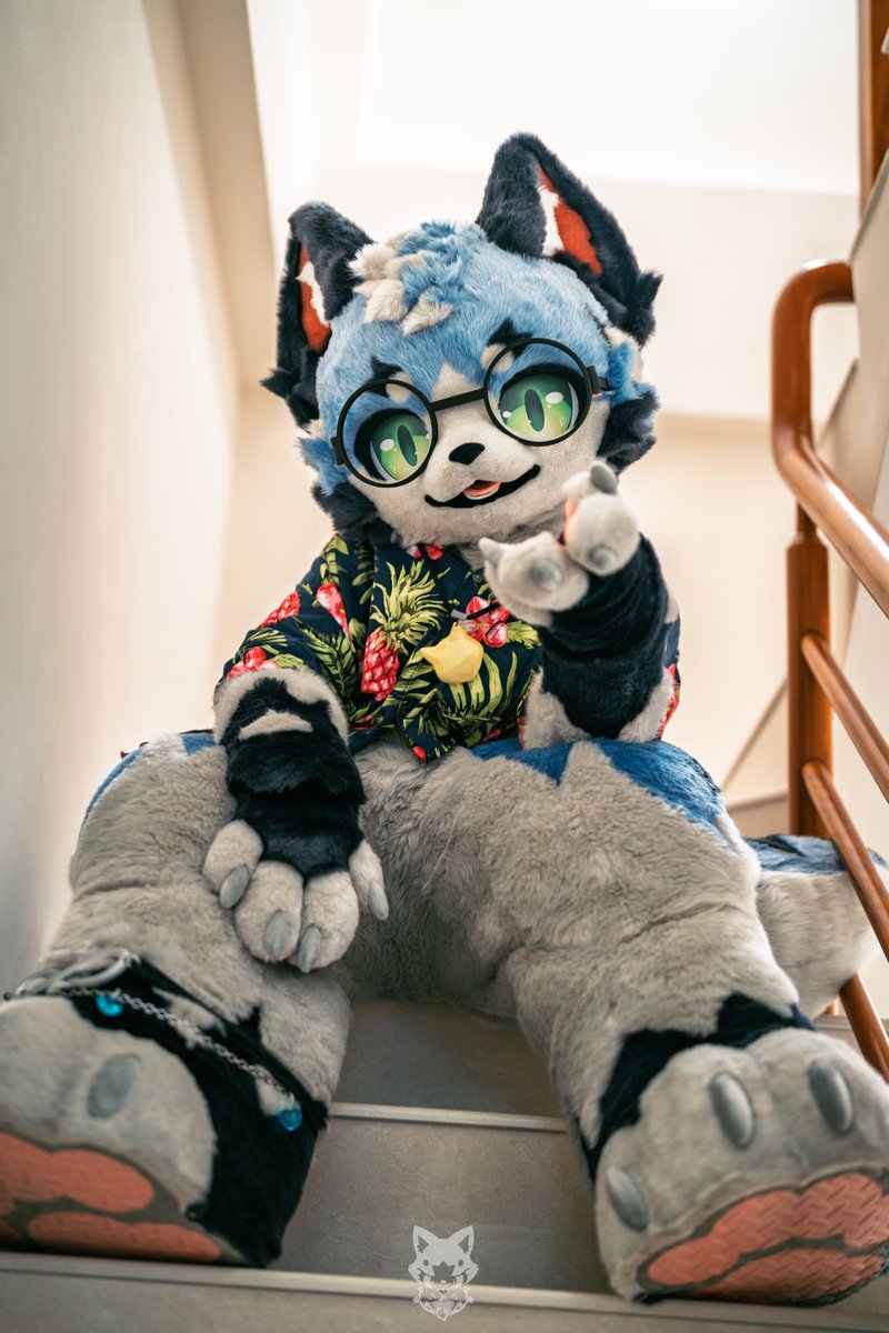 Fallkui's tweet photo. 早くこっちに来て～💙

#FursuitFriday https://t.co/Rd6Yyw9dts