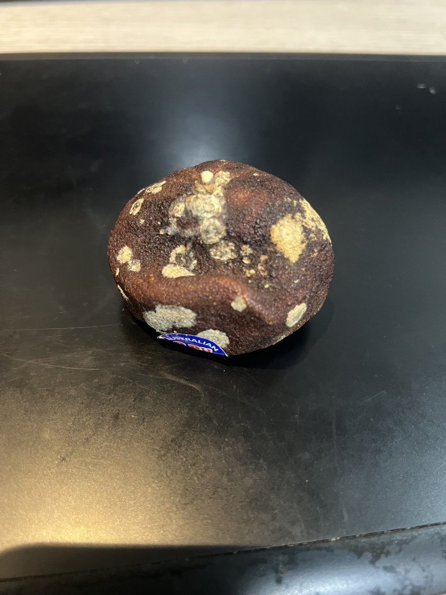 fruitsnack56122's tweet photo. Found a really badly aged and molding orange in my bag and genuinely thought it was a dubai chewy cookie and almost took a bite out of it
#NearDeathExperiences https://t.co/QsXMQYDq0D