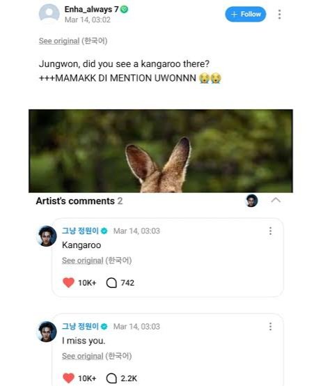 LavenderM57591's tweet photo. ENHYPEN left some space in the center for this cute kangaroo plushie in Australia. 🥹🦘

Back in March, Jungwon created an inside joke with Engenes. He replied to OT7 users' posts about kangaroos - implying it was about HS instead?

"🦘 I miss you/ I want to see you" https://t.co/AAGUGSTRhu