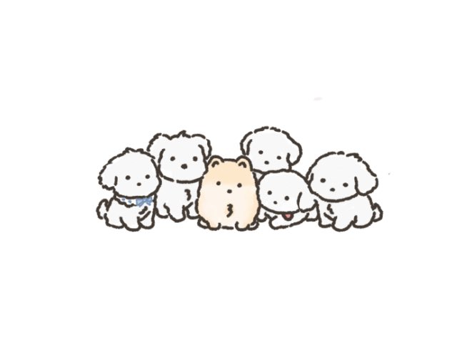 쬬 띠 tweet media