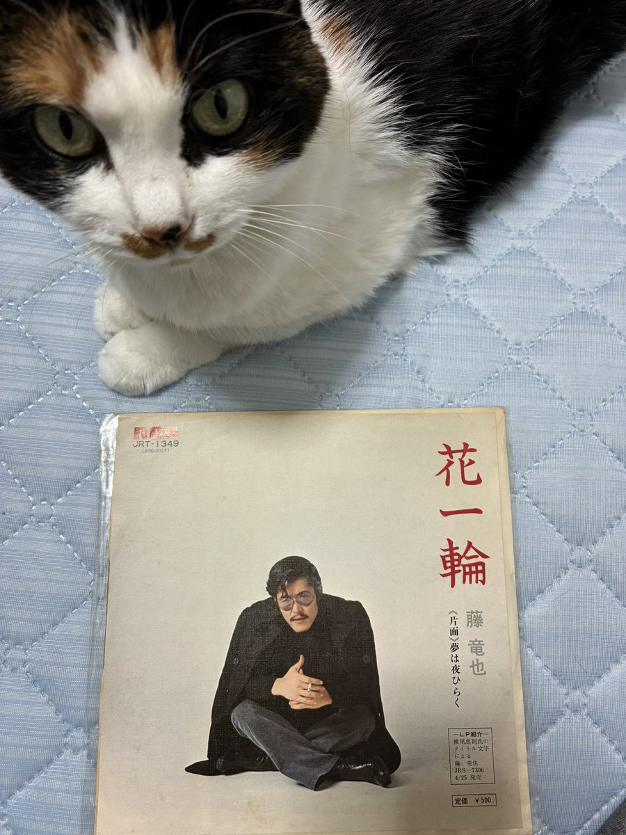 おみかん🚯 tweet media