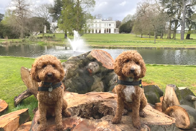 actonw3com's tweet photo. Alternative Funding Vision Proposed for Gunnersbury Park 
Residents' group says costs can be covered without large-scale events https://t.co/ETqnBqDZnZ https://t.co/hakZgIXTXw
