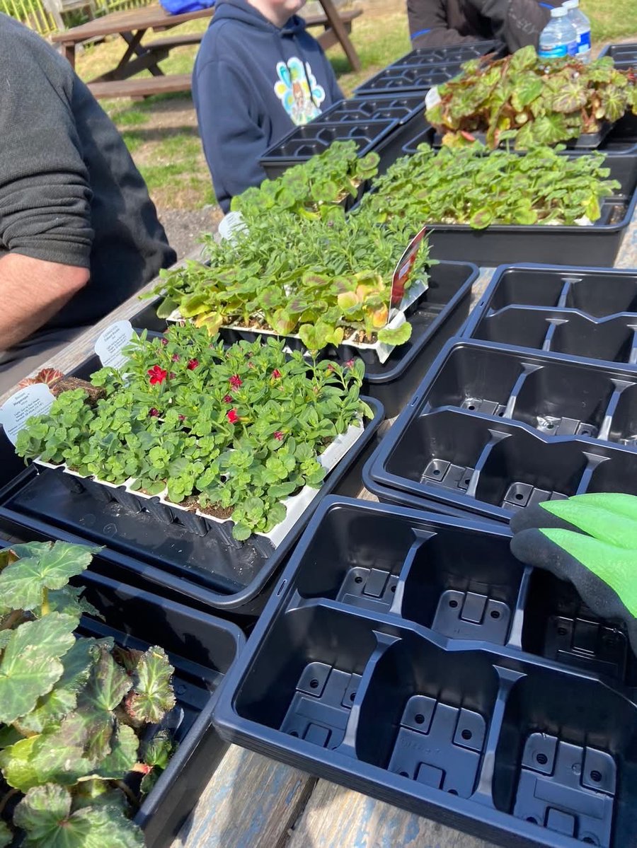 SolihullCollege's tweet photo. 💐 A community garden in Kingshurst has been launched to help residents feel more involved in their local area. 

🌱 Read more about it on our website! 

https://t.co/SmQdki7djx https://t.co/a4G6LJy5Fe