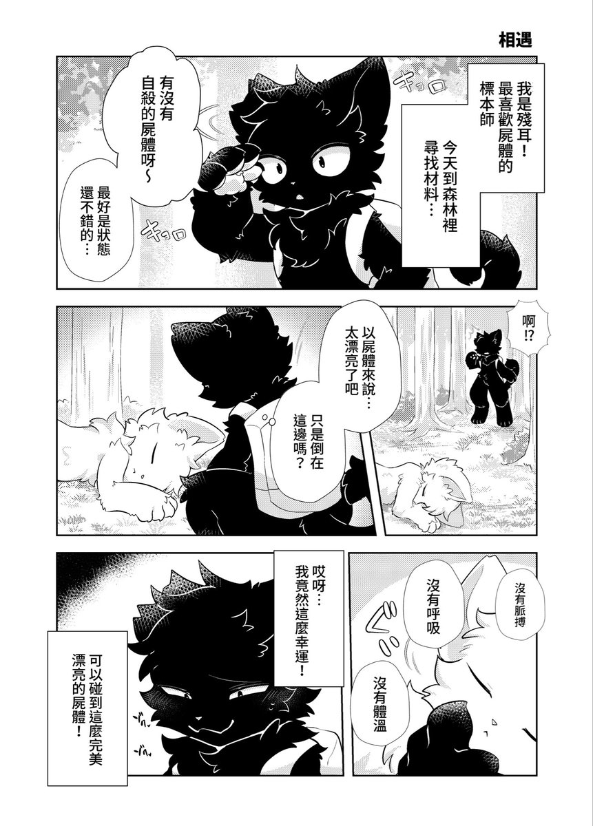 csrknb's tweet photo. 【新刊試閱】2026/06/06  Furrymosa 8 

本作收錄了「殘耳與殺人鬼相遇時的故事」以及兩人日常生活的短篇集🐾

A5/ 20p / NT$ 200 「B01 星貓日記」 https://t.co/CjUr2ylQdl