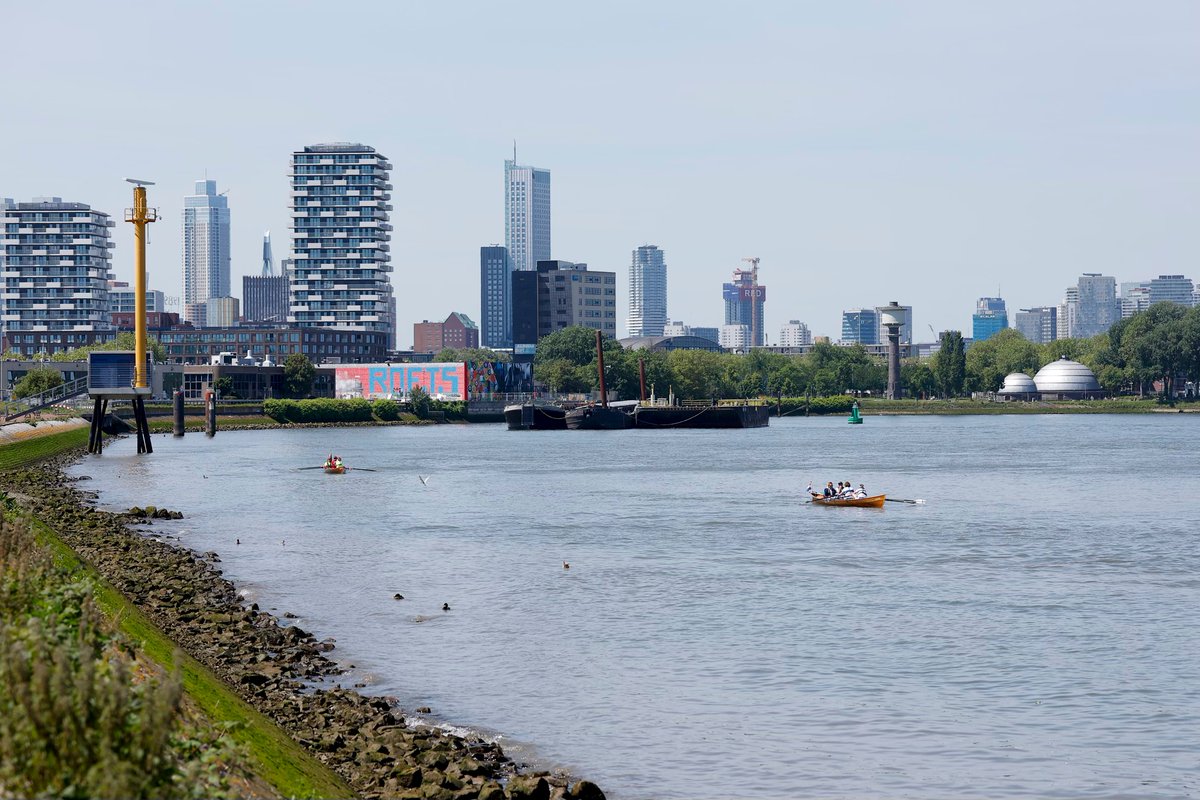 RWS_WNZ's tweet photo. De aanleg van Getijdenpark Feijenoord in Rotterdam is gestart. Voor de getijdennatuur nabij Eiland van Brienenoord werken we samen met de gemeente Rotterdam, waarbij natuurinclusieve stadsontwikkeling en verbetering van de waterkwaliteit hand in hand gaan.
https://t.co/6TiInrejT9 https://t.co/I8tKpz3OWy