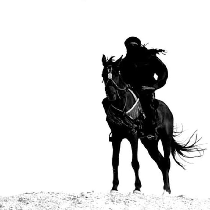 Hussain tweet media
