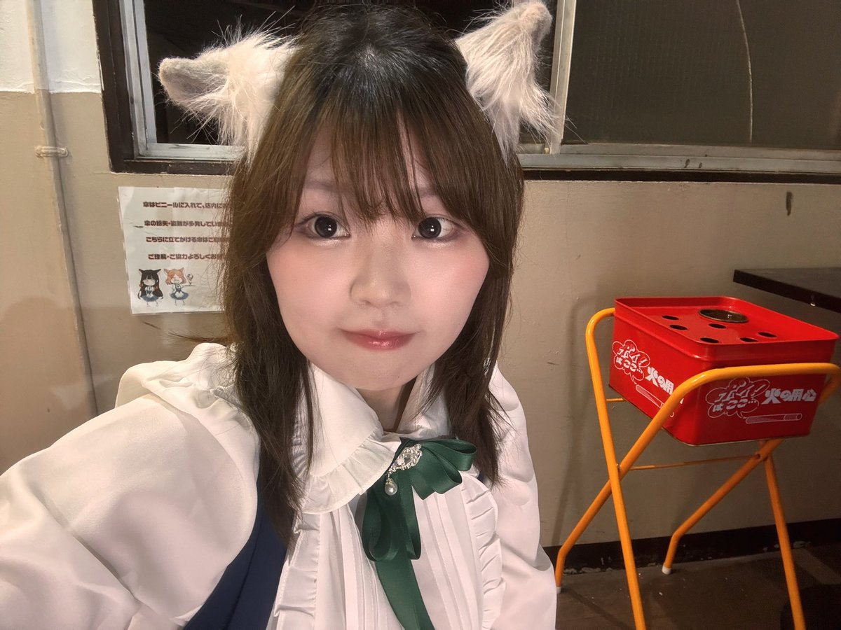 ゆうこ@みけねこカフェ清瀬 tweet media