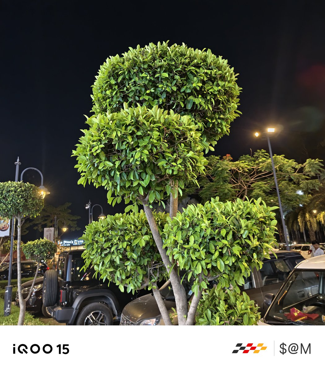 TechSAM009's tweet photo. Night Photography #RandomClicks with iQOO 15 https://t.co/mpkaXwYxmf