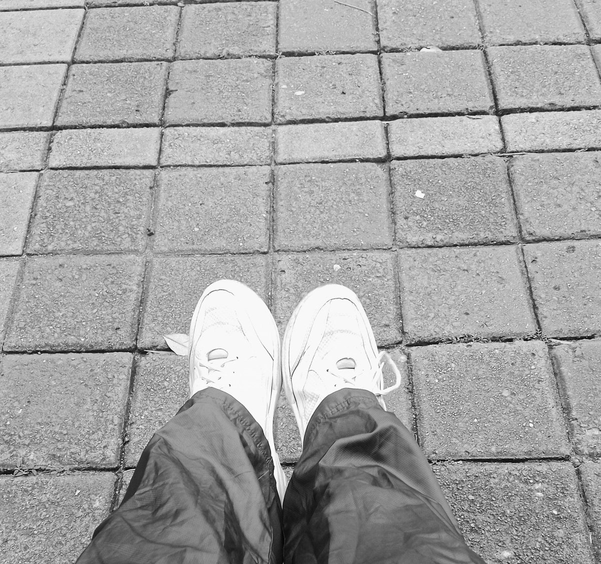 Chleo. tweet media