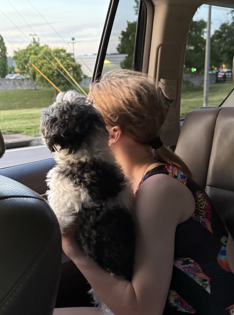 chadinlex's tweet photo. If only we could all view the world the way a little girl and a dog do… https://t.co/osLxmzLioT