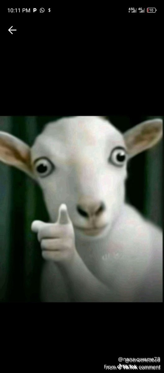 Itzbally1's tweet photo. @onkovictor @Czooba So you mumu like this and we no know https://t.co/Eou8wx1gyL