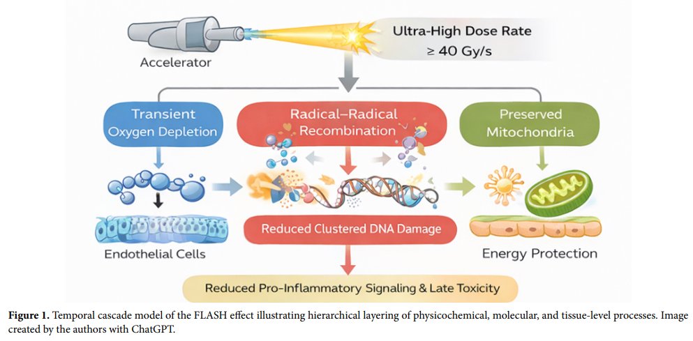 ARNM_ASP's tweet photo. 📢Welcome to read the paper "FLASH radiotherapy: Separating biological foundations from clinical reality".
👥By Tanshi Daljit, Arun Kumar Rathi, Saarthak Miglani, Sapna Yadav, Kartik Prasad
Read #article here: https://t.co/g0dfPBF06N https://t.co/NYcAOpiogo