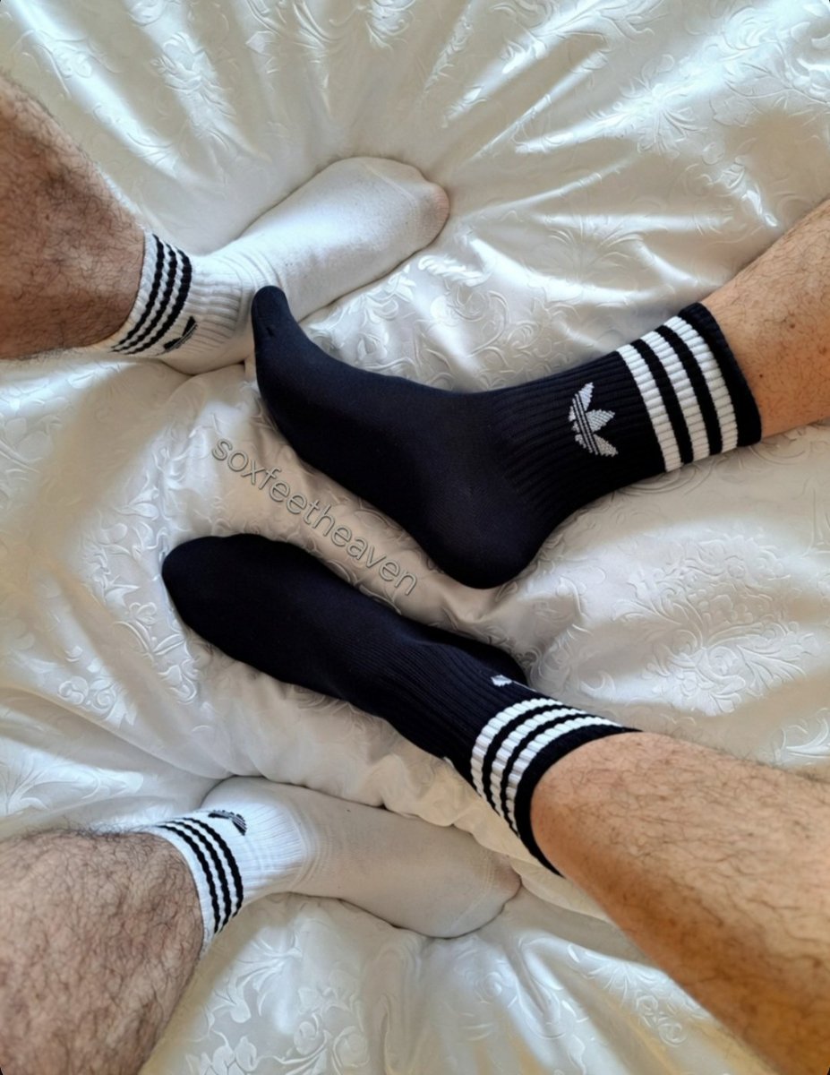 sox_feetheaven's tweet photo. Which socks would you touch first? https://t.co/4G9EJl71jJ