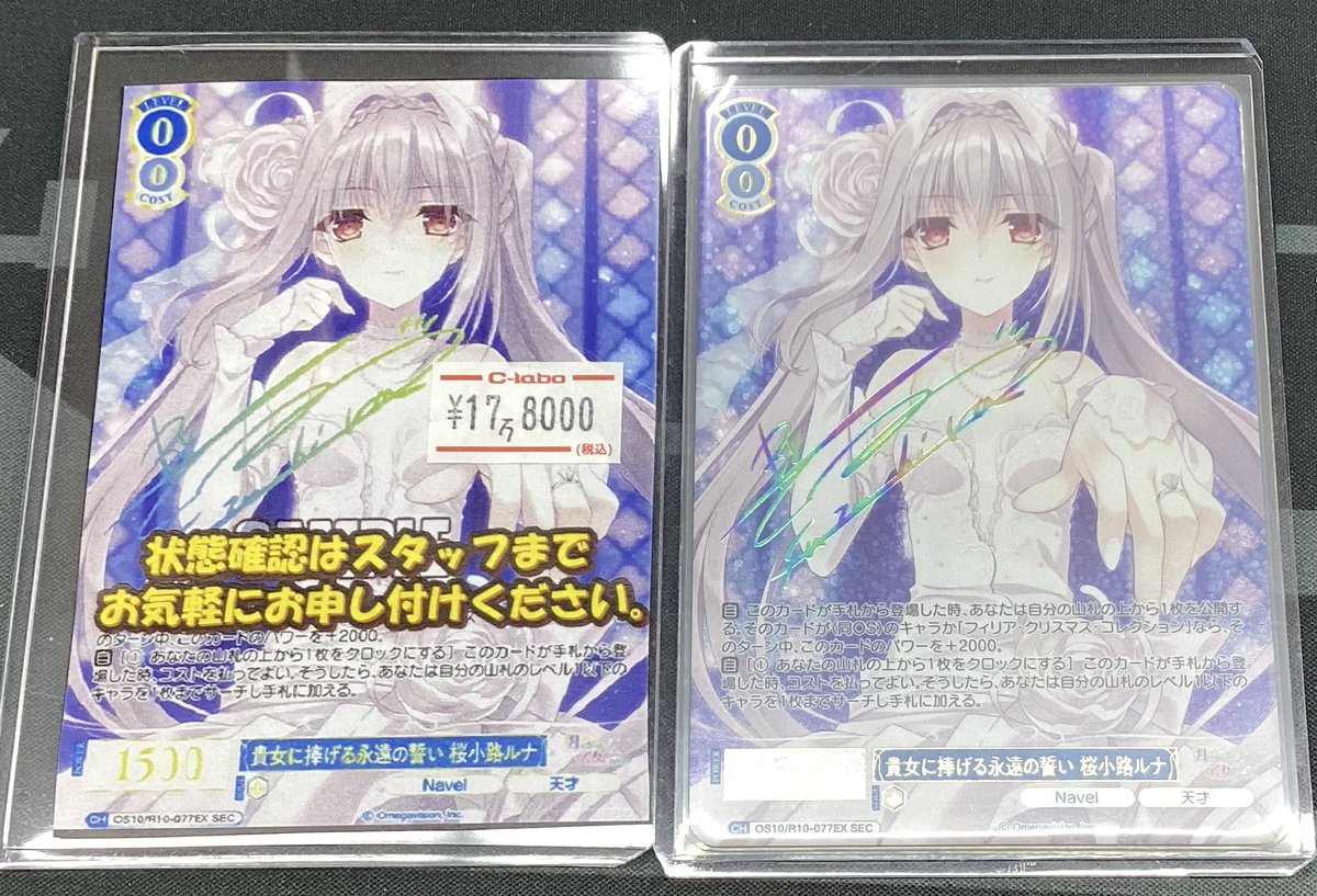 ヴァイスシュヴァルツロゼ】 入荷情報 💙🤍貴方に捧げる永遠の誓い 桜
