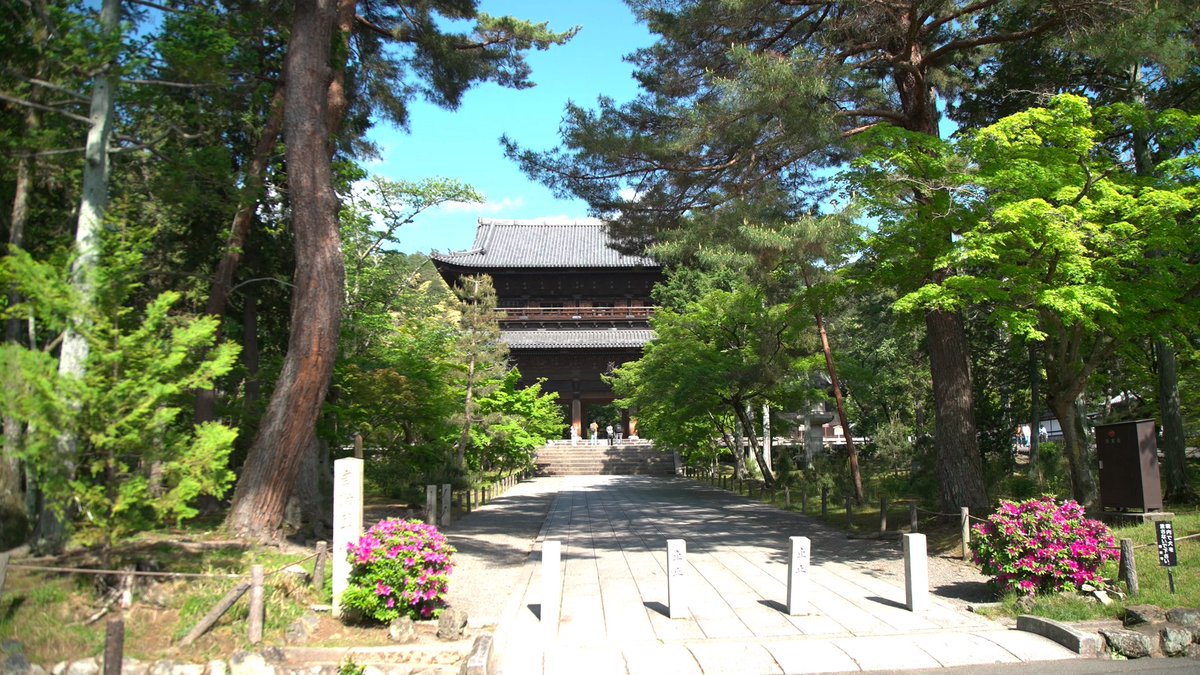 あなたの知らない京都旅 tweet media
