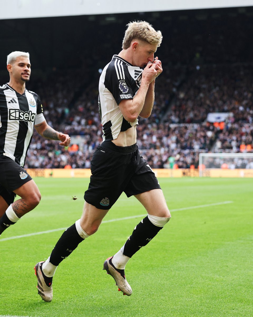 NUFC Gallowgate 🏆 tweet media