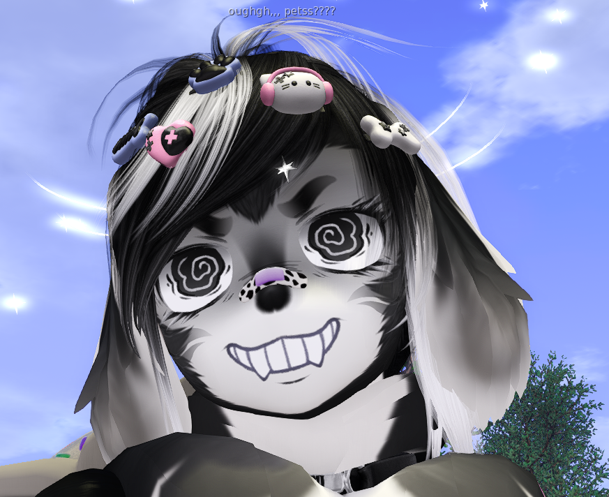 wouf_oo's tweet photo. having fun playing touys !!!! 🐧✨ https://t.co/9RyCX60NdE