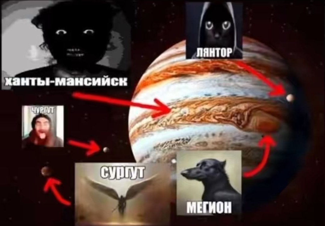 сасики в масле tweet media