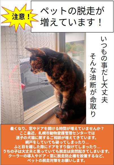 Reposts by 非営利型 一般社団法人 ねこたまご (@nekotamago_) / X