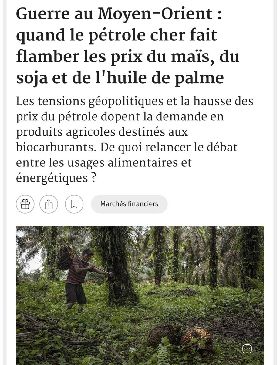 BegonThomas's tweet photo. RvP3️⃣articles du 29/05/26 
✅Guerre Iran quand le pétrole cher fait flamber les prix du #maïs #soja✔️https://t.co/XMAyWlGFmu

✅#Limagrain développer des #semences résistantes au changement climatique✔️https://t.co/W58pbXzyZF

✅#LUA va aider à moins importer de poulet ✔️ https://t.co/txD3hOwIFF