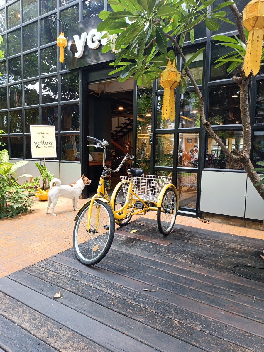 GnosticHueman's tweet photo. Just came to a Co-Working space in Chiang Mai. Yellow Co-Working. 

Gawd. 

Talked to bunch of Digital Nomads & they either shut up and went back to their phones without nothing to say when I burst their bubble on Ethereum projects | Solana projects when I talked about SegWit | Lightning Network | RBF | Gas Fees | Low TPS | Failing Howey's Test. 

Young lads got so quiet & offended. 

They have no clue what they are doing.

Rollups on L2 ? Great. But does it scale to a million people?

 *CRICKETS*

Verification of Hashes?  Does it have a SPV ? 

*CRICKETS*

Do you know about the CLARITY ACT ? 

Mature Blockchain Test | 1933 SEC Act | Howey's Test | Criterion Req's to be validated 

*CRICKETS*

Both lads shut up shop and ignored me. 

Well, I recommended them to look these up. 

People are so attached to sentiments , BS ICO scams that never scales, ML Exchanges & apecoin without offering any value. 

Build on Foundations that is P-2-P & create REAL value. 

#Woke #Anarchocapitalisitc