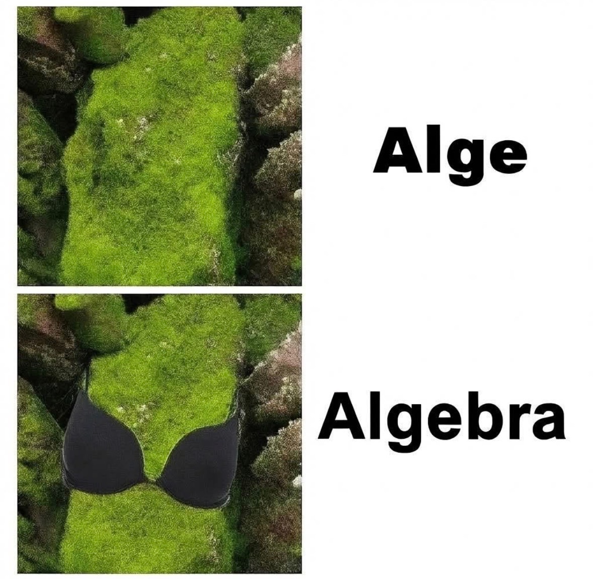 RespectfulMemes's tweet photo. https://t.co/w09aPKSYRS