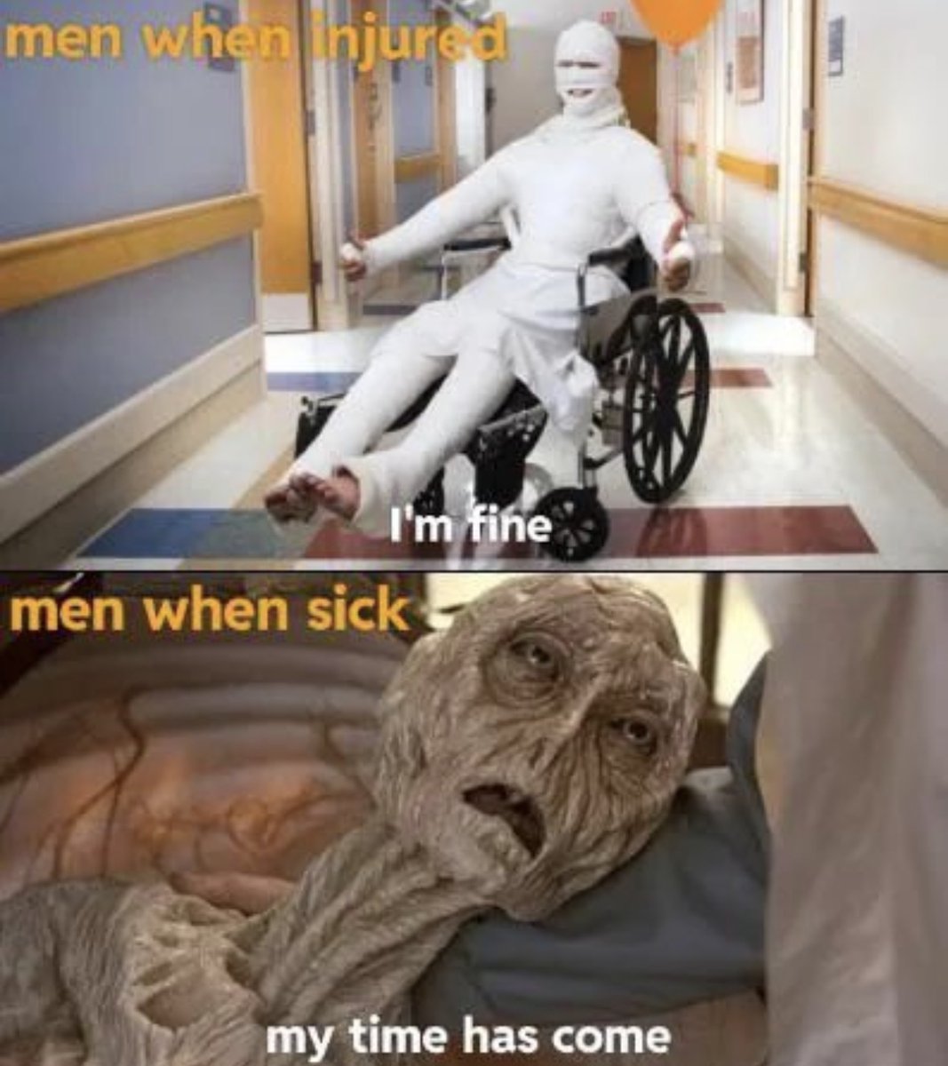RespectfulMemes's tweet photo. https://t.co/itgk8tEUI1