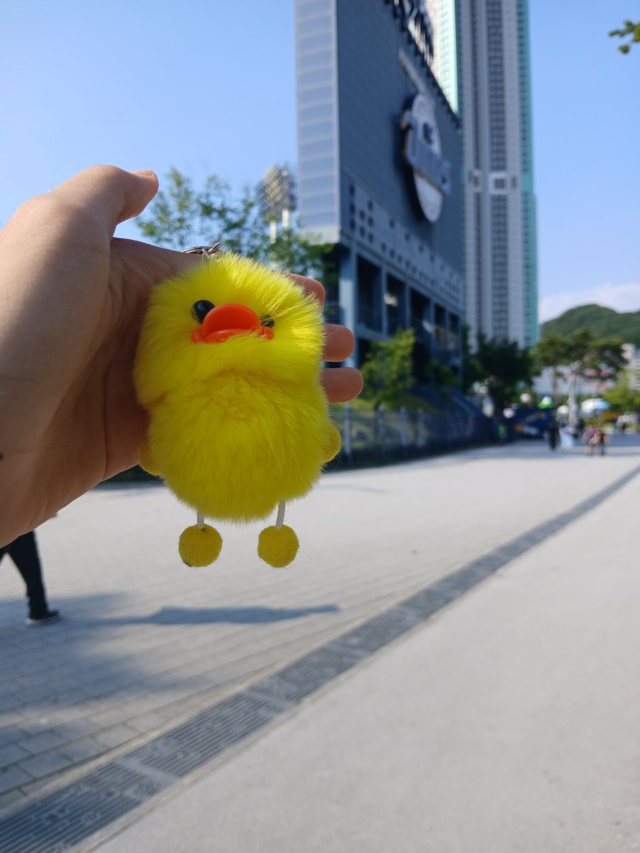 흑백사과 tweet media