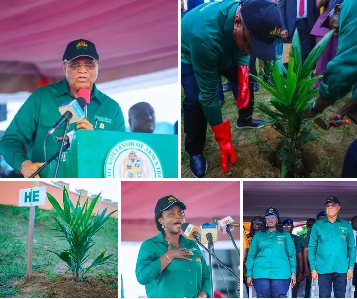 akstrending's tweet photo. GOV ENO LAUNCHES TREE CROPS REVOLUTION WITH 620, 000 OIL PALM SEEDLINGS      … Reaffirms commitment to resuscitating abandoned projects  https://t.co/QWfmbdX1gO https://t.co/8sNnNHU6Sh