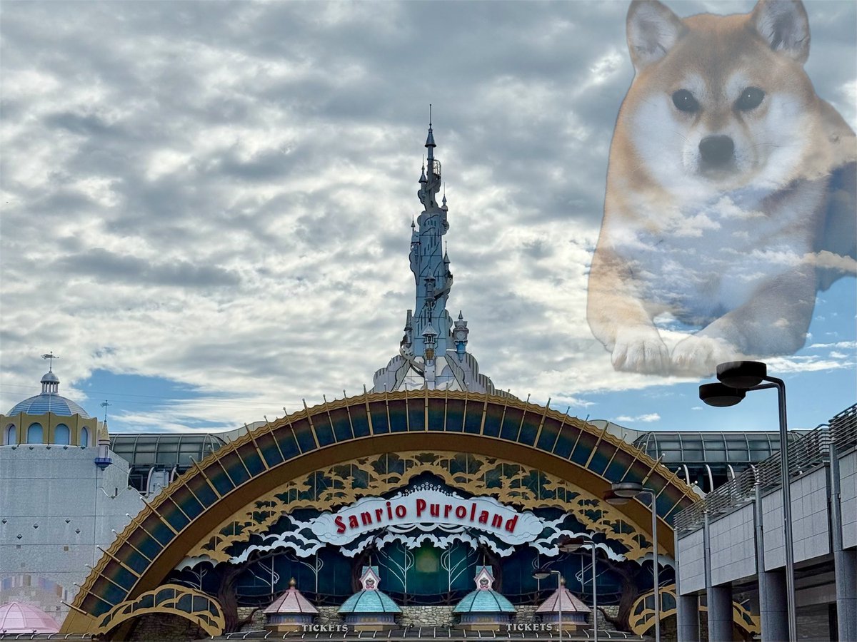 MAMEclassic's tweet photo. サンリオピューロランドに来ています。
#柴犬 https://t.co/9U963diirM