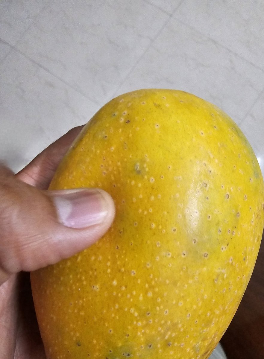 abhay1706's tweet photo. @zeptocares @ZeptoNow Yesterday, I order mango from zepto and with-in 5mins of receiving the order, I raised the concern about stale/rotten mango and uploaded the image, even then I am being the "refund denied" as issue couldn't not be identified.
Uploading the image/video here https://t.co/hxzlj0eQo7