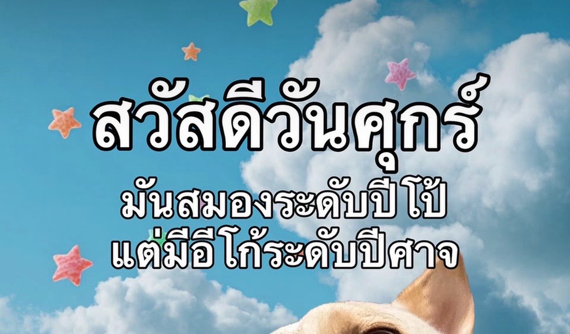 แอลเอง tweet media