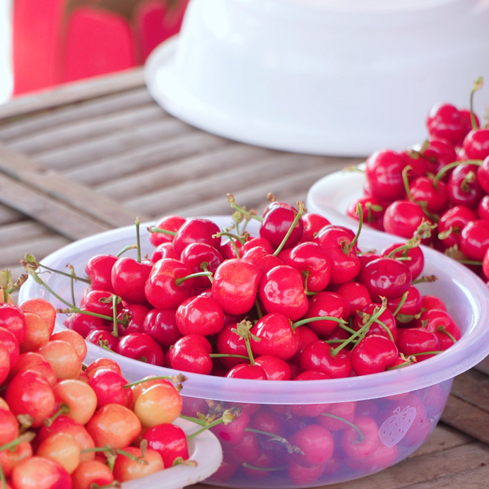 ElbertHarry2024's tweet photo. Come to Gangcheng and enjoy a delightful time picking fresh produce in the countryside. https://t.co/UyFDEoREFp