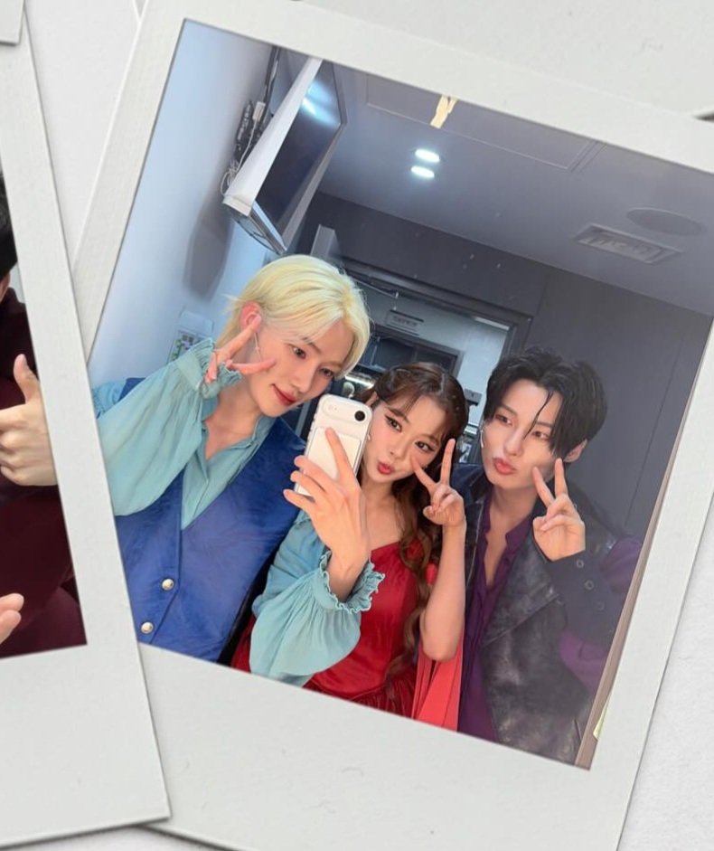 뉴냥이캔따개ೀ tweet media