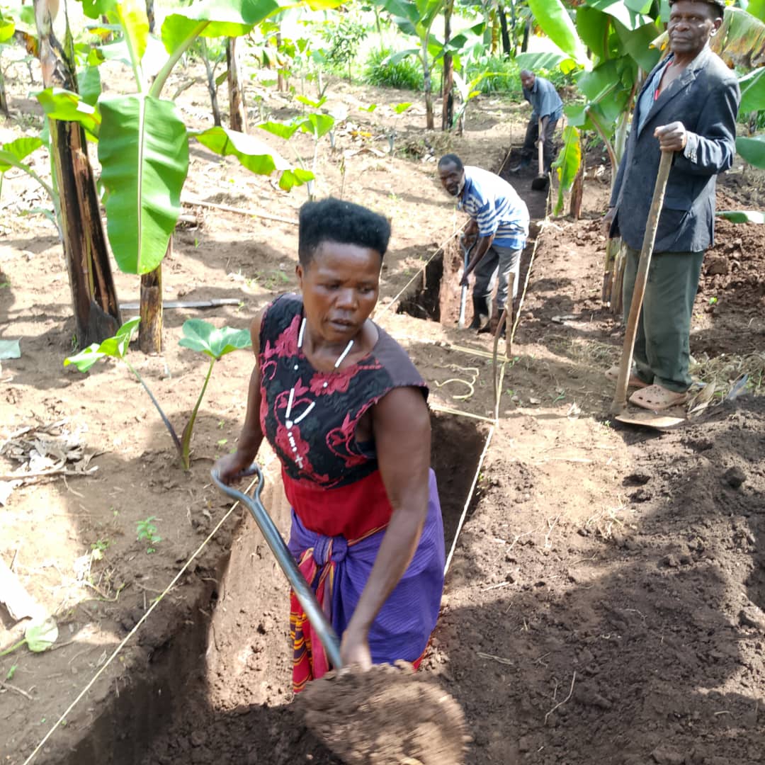 CommonGroundUg's tweet photo. Farmers from Kiboota community, Buhesi Town council, Bunyaganbu district have established a demonstration garden where they have dug trenches for soil and water conservation. This was done during the follow-up support visit on crop and land management. @ISSDUganda @NLinUganda https://t.co/nNVWS0dGgK