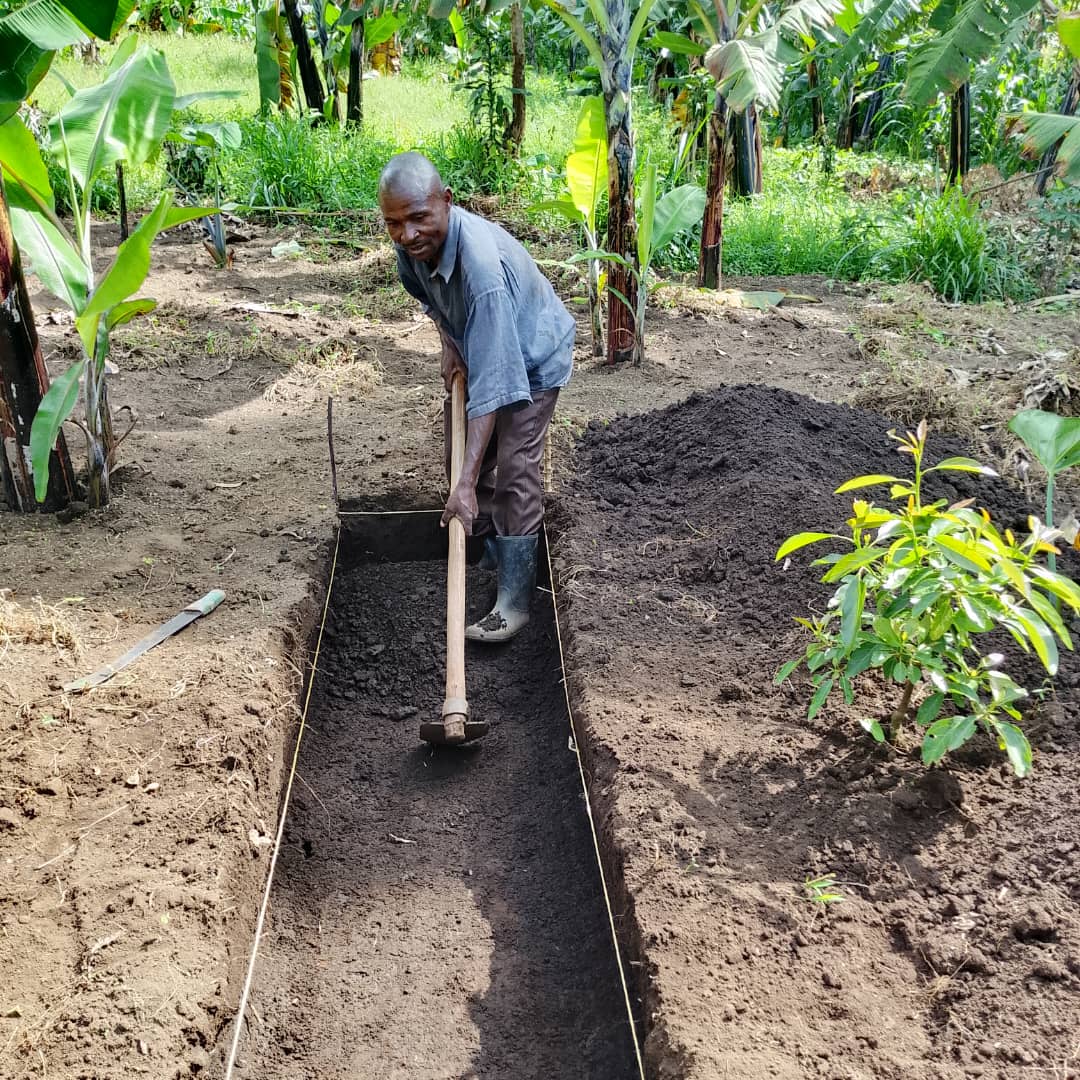 CommonGroundUg's tweet photo. Farmers from Kiboota community, Buhesi Town council, Bunyaganbu district have established a demonstration garden where they have dug trenches for soil and water conservation. This was done during the follow-up support visit on crop and land management. @ISSDUganda @NLinUganda https://t.co/nNVWS0dGgK