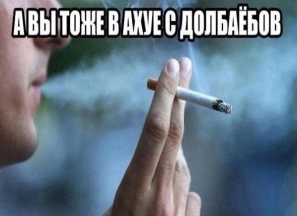 R3SSENT1MENT/Гестекс tweet media