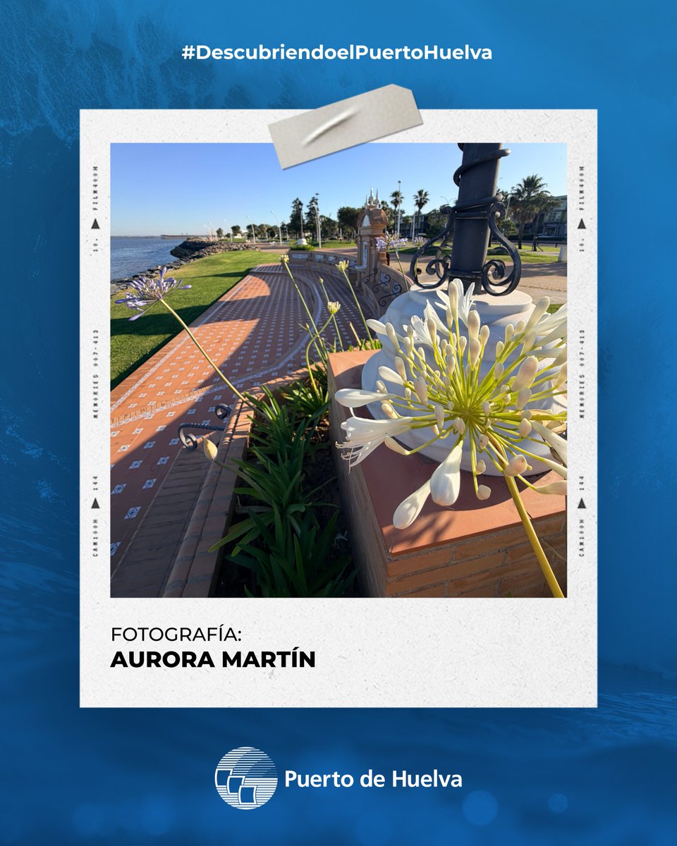 APHuelva's tweet photo. 🌺📸Aurora Martín nos envía esta imagen de la #FuentedeLasNaciones, llena de color gracias a las flores que embellecen este espacio del entorno portuario.

¡Gracias por participar en nuestra sección #DescubriendoElPuertoHuelva! 👏 https://t.co/F6zIEvEPzN