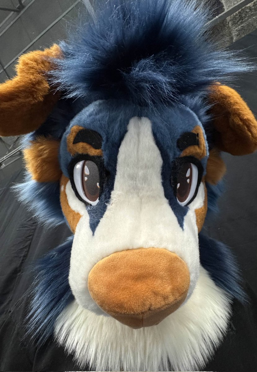 roeclawz's tweet photo. Helloo people!! Wanted to do a short introduction of myself so here we go ✨⬇️

My name is Roe! I am an 18-year old independent fursuit maker from Finland. I've made personal suits in the past, and more recently; premades! I also opened fursuit commissions for the very first time https://t.co/GyElfEPkVg
