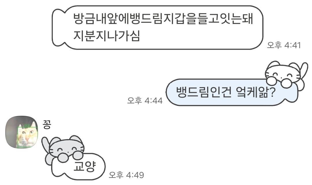 세코로? tweet media