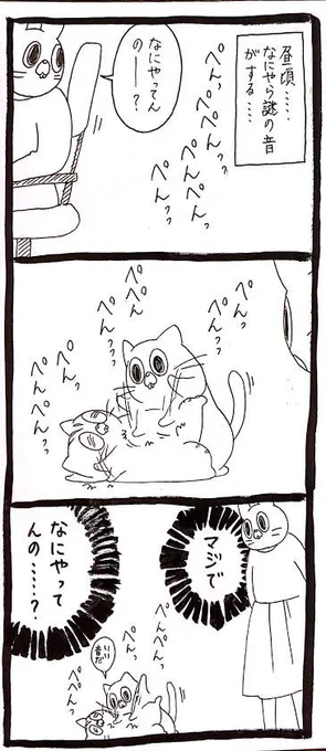 なにしてんの 