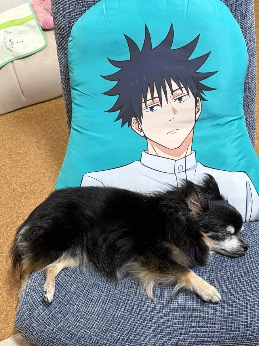 toichin2's tweet photo. 💤→ん？→(^_-) https://t.co/MPJ7a7nSQF