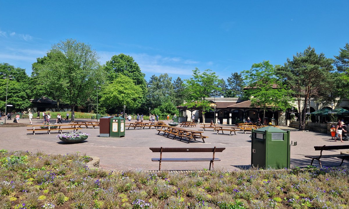 CarlovS's tweet photo. Ik ben eigenlijk best benieuwd of de #Efteling zélf tevreden is over dit plein. Ook geen parasols te bespeuren, met zo'n warmte gaat daar niemand zitten. Pardoes zou zeggen: 'wát een saaie boel!' https://t.co/NaTyoZcWPc