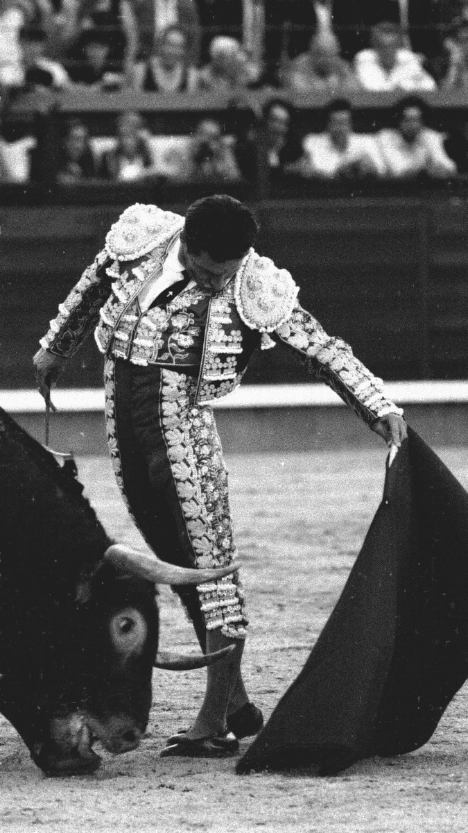 Fran_jimenez_11's tweet photo. El toreo de antes, que es el que más vale 
Viva el toreo https://t.co/7n5xSZ5bPq