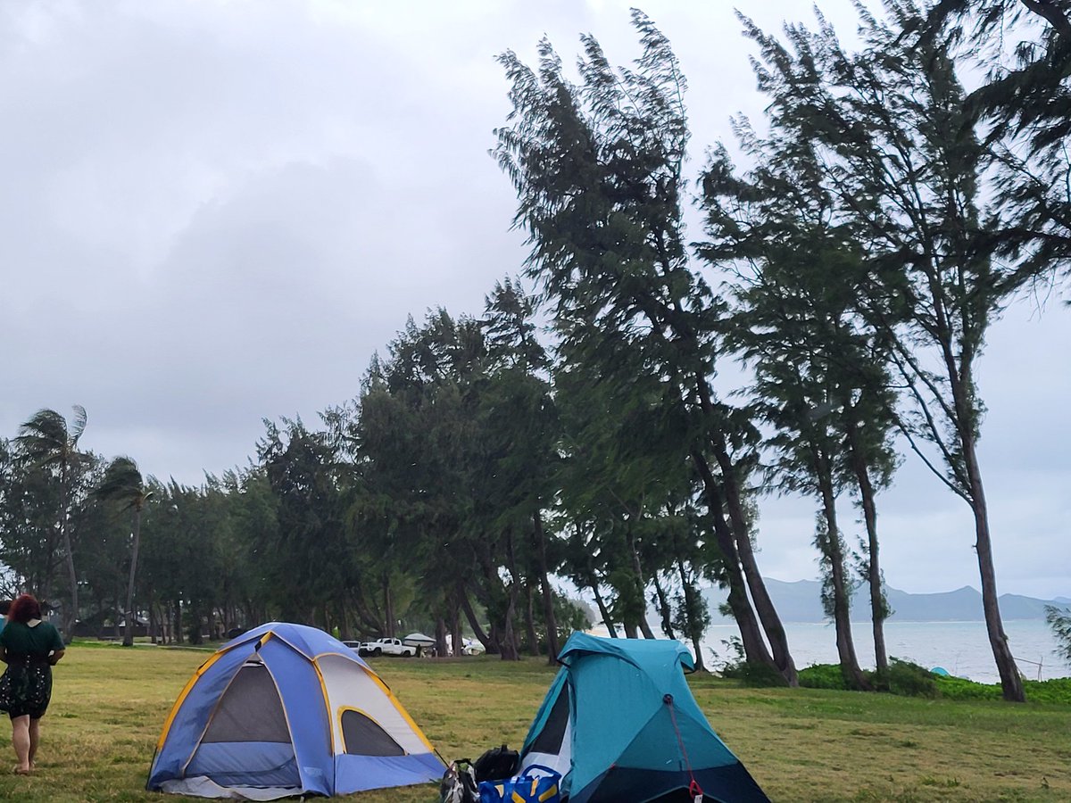 Longviewing's tweet photo. Went camping again https://t.co/oiSSA8Lxmv