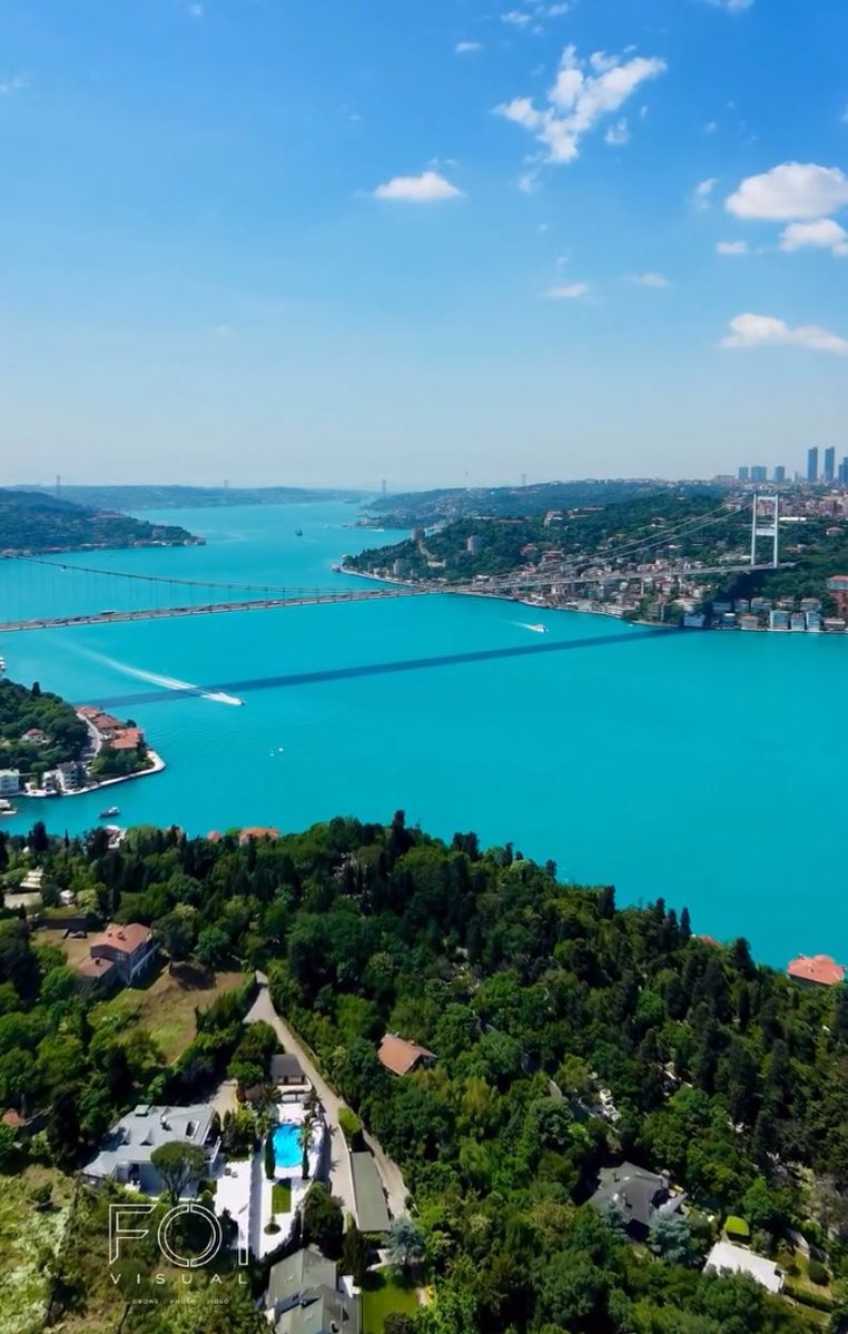 fırat tweet media